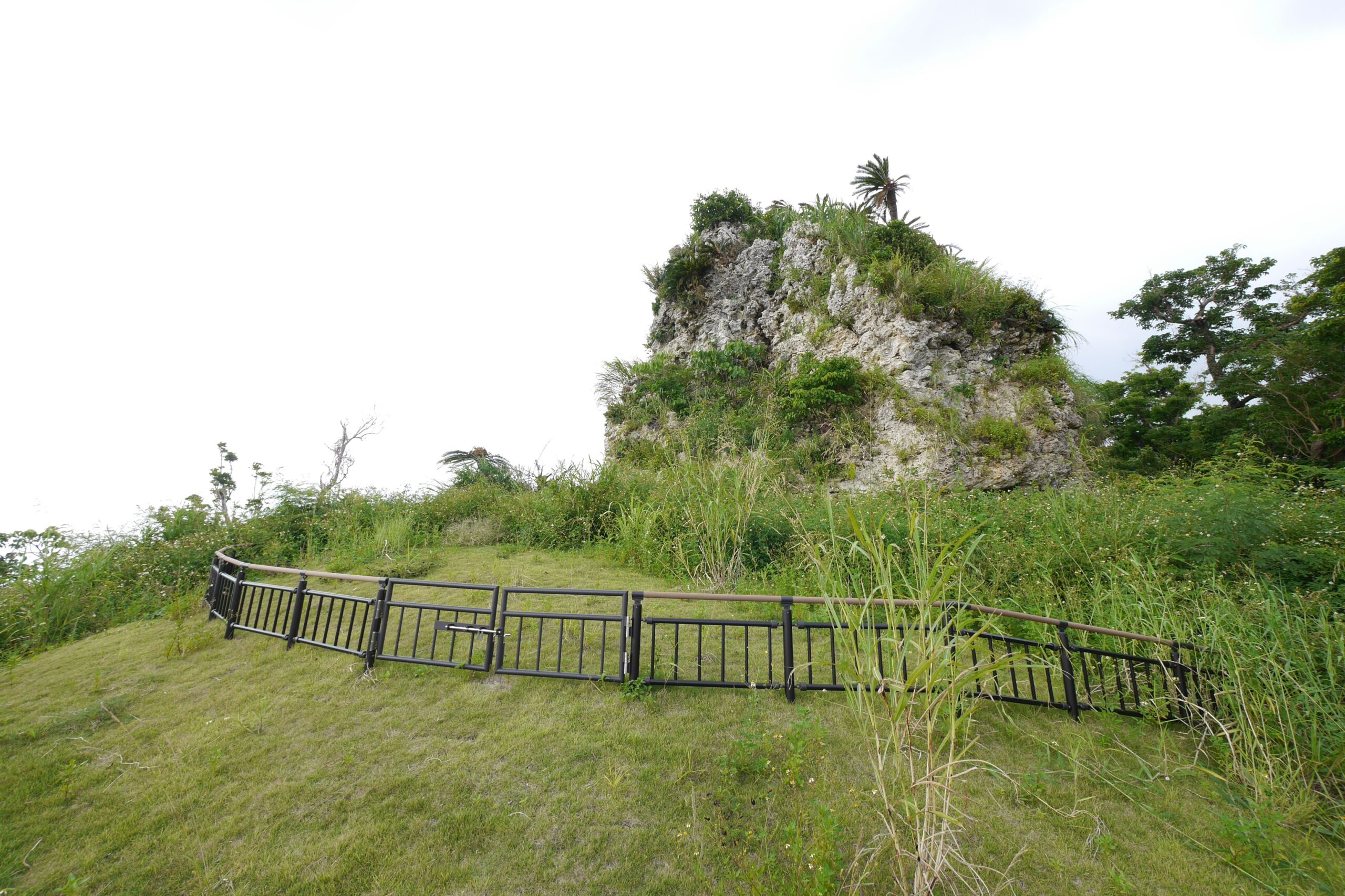 [沖縄県]ペリーの旗立岩_FKTWe-2011