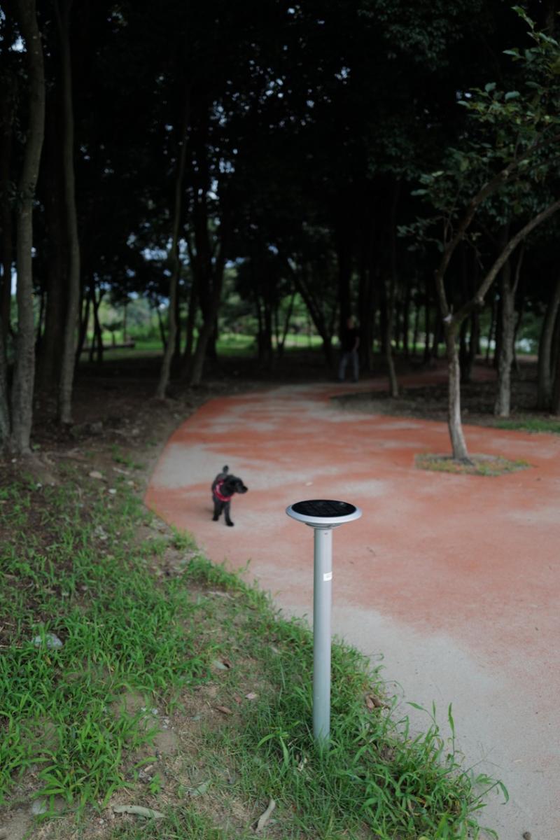 中之島公園遊歩道 / 岐阜県 / 2021