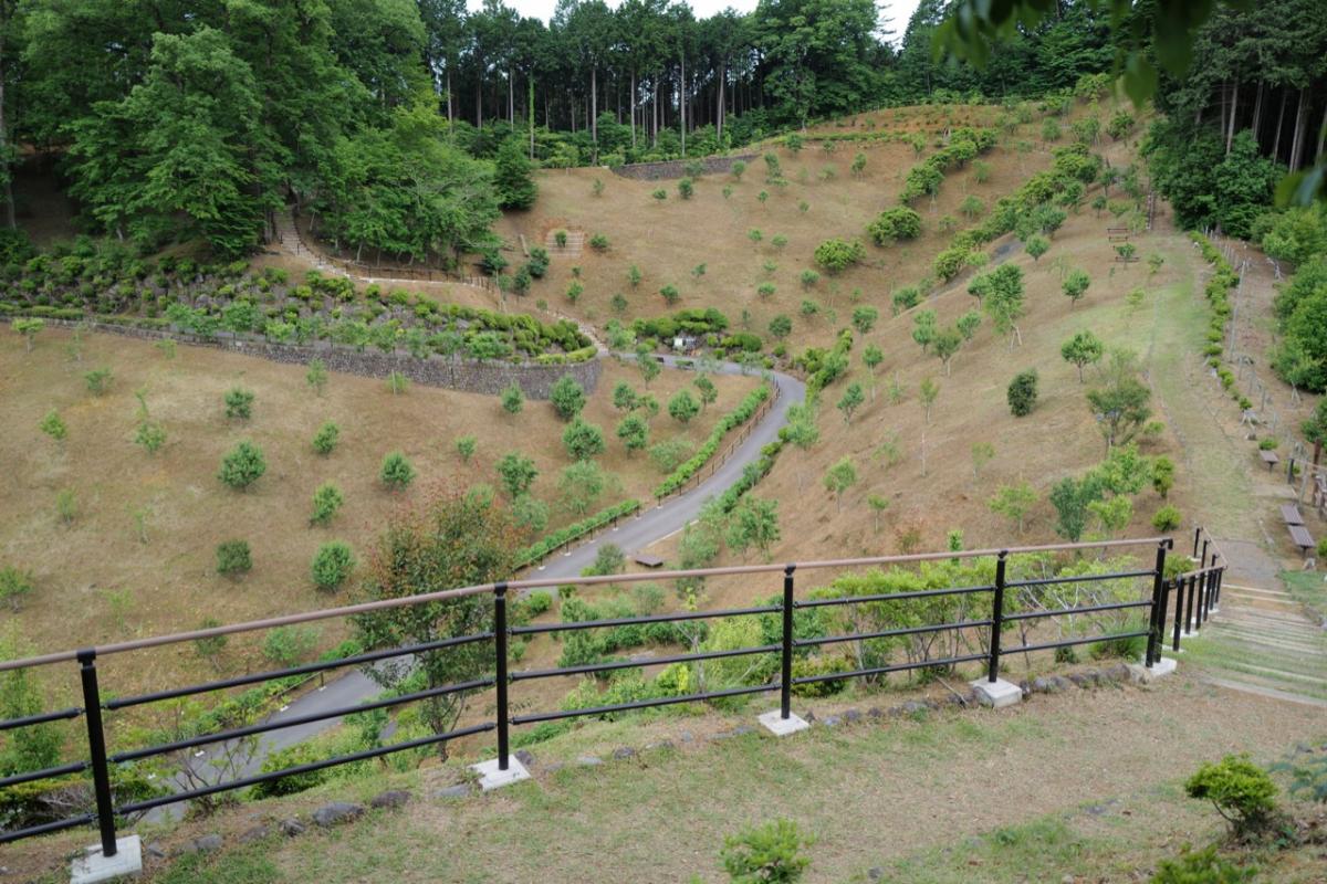 梅の公園転落防止柵/手すり