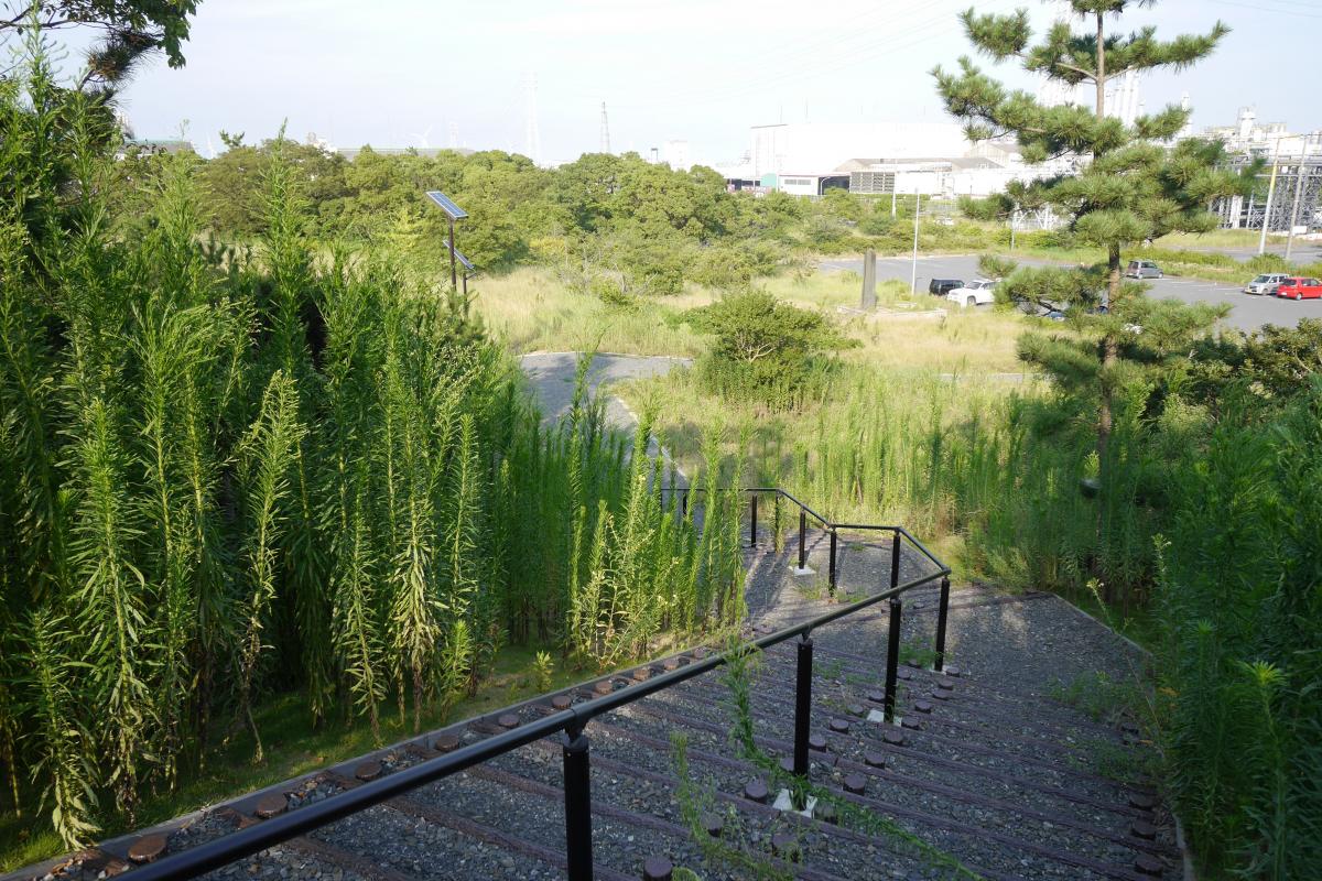 神栖市砂山都市緑地 納入事例｜株式会社風憩セコロ