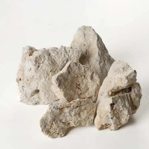 琉球石灰岩