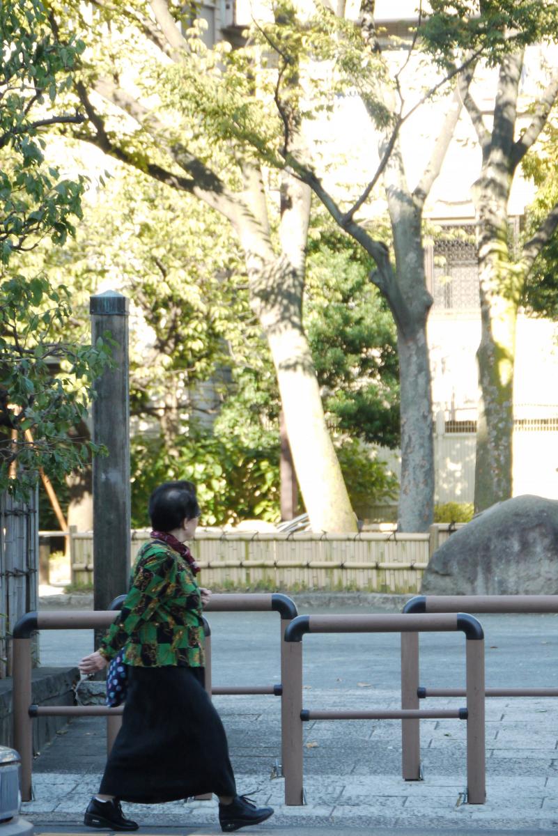 聖蹟公園 / 東京都 / 2014